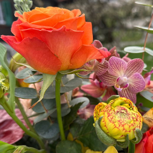 Blumenstrauss gemischt mit exotischen und Saisonalen blumen für einen exklusiven Mix