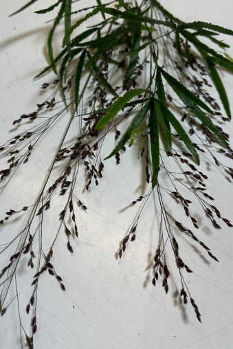 Exklusiver Blumenstrauß mit Calla und Nelken selber gebunden – elegante DIY Wohnzimmer Deko