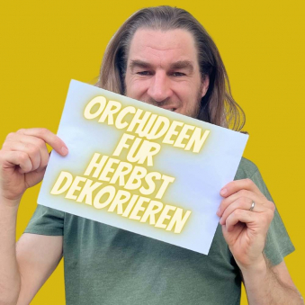 Herbstdeko-Orchideen.jpg