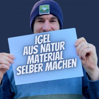 Igel-selber-machen.png